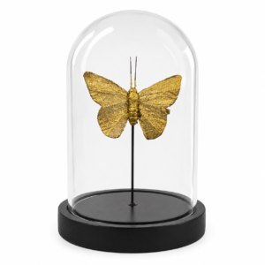 Borboleta Decorativa Dourada na Redoma de Vidro | Escultura Decorativa Luxo para Sala, Estante e Aparador